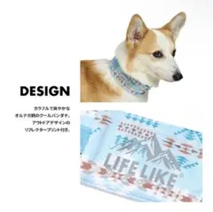 Item thumbnail for item d4a548ad-c986-43cc-bb44-4e0942a4ca41