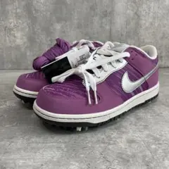 NIKE GOLF ゴルフシューズ WMNS DUNK NG SL 23.5㎝
