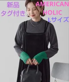新品タグ付き【AMERICAN HOLIC】バイパチ袖配色リブニットプルオーバー