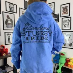 23AW STUSSY IST HOODIE PIGMENT DYED