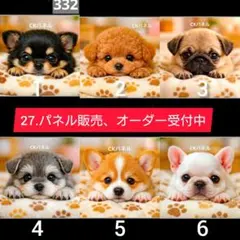 27.パネル生地販売＆オーダー受付中〜マルチーズ チワワ パグ - メルカリ