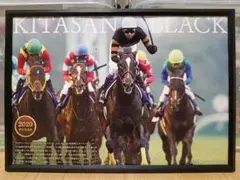 競馬 キタサンブラック パネル 殿堂の父子