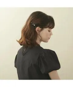 2/1まで限定値下げ ALEXANDRE DE PARIS ボールピン