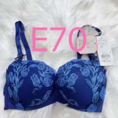 トリンプ レッドレーベル バイ 0099 ブラジャー ブルー E70