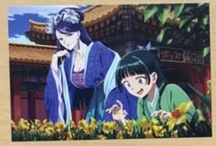 ⭐︎薬屋のひとりごと　ポストカード 水仙