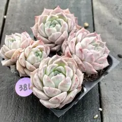 ゆうパック発送❗️ちーやん様 リクエスト 10点 まとめ商品