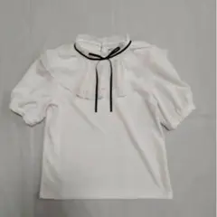 Item thumbnail for item 8c9695bd-15ad-44da-aa7f-e4cfb96d1dde