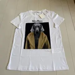 新品 MaxMara 犬プリント Tシャツ M ホワイト - メルカリ