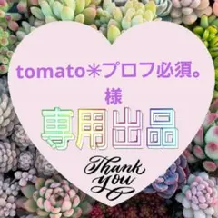 tomato✳︎プロフ必須。様 リクエスト 2点 まとめ商品