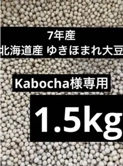 Kabocha様専用