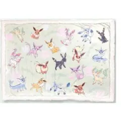 ポケットモンスター ボアブランケット イーブイ＆フレンズ