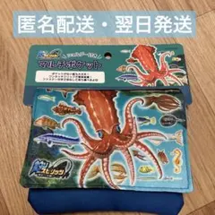 Fエクスプローラー様 リクエスト 2点 まとめ商品