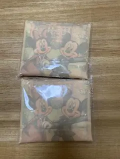 ディズニーランドホテル エコバッグ 2点セット