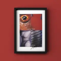 ◻️コム・デ・ギャルソン 　クジラ ブリーチング 特大ポスター COMME des GARCONS Poster (Whale) | GR8