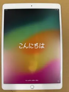 iPad Pro 10.5インチ 256GBシルバー 保護ケース付