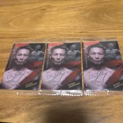 RIZIN ウエハースカード　篠塚辰樹