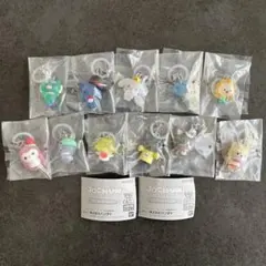 【匿名配送】JOCHUM めじるしアクセサリー 全11種コンプリートセット