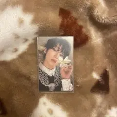 ソヌ orangeblood トレカ kalpa ver