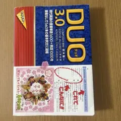 duo3.0