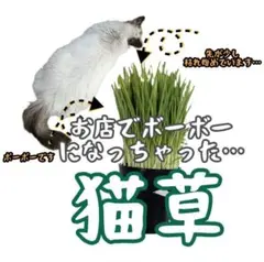 Item thumbnail for item aa311921-428a-447a-adc0-f239c34b4146