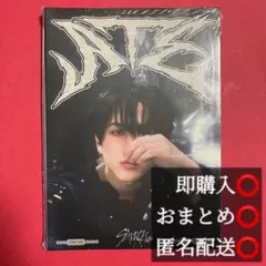 スキズ ATE Accordion チャンビン