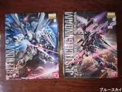 ガンプラMG フリーダム ジャスティス クロスコントラストカラー 2種