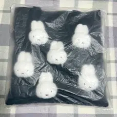 Item thumbnail for item 0c275ef8-1e87-4a57-af6e-df9b93d7ef12