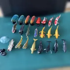 フィギュア　海洋生物　チョコエッグ　海洋堂　24体セット