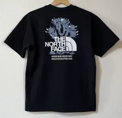 THE NORTH FACE Tシャツ　バックプリント　NT12593