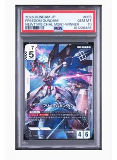ガンダムカードゲーム ニュータイプチャレンジ キラ フリーダム PSA10