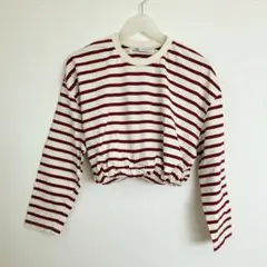 ZARA ボーダー クロップド丈 長袖カットソー