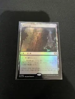 【MTG】草むした墓【NM】foil