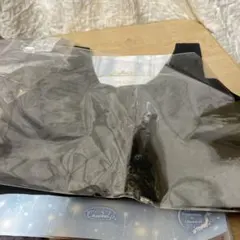 Item thumbnail for item 7325cbf9-f856-4067-8c52-b226de29f310