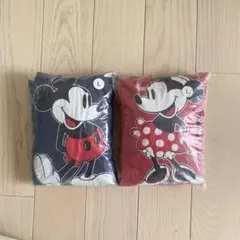 Item thumbnail for item ee3c25a8-af82-45bf-babb-9eb7cbce9d40