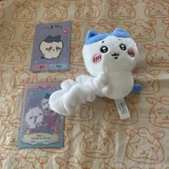 ちいかわ、ハチワレ、シュシュ