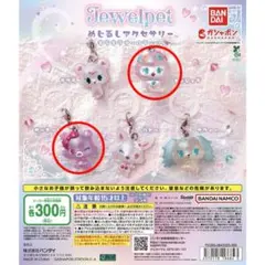 ジュエルペット めじるしアクセサリー キラキラオーロラver.