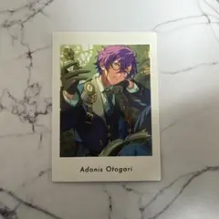 乙狩アドニス　ぱしゃつ