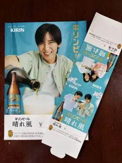 新品】fishbowl『蒼霞』タワレコ限定ポスター 大白桃子新間いずみ木村