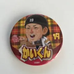 甲斐ホークステレQコラボ缶バッチ