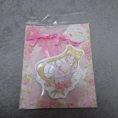 Item thumbnail for item e1c7dd11-87d7-430c-b6a3-e4634d5fe842