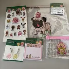 seria新作こびとづかん