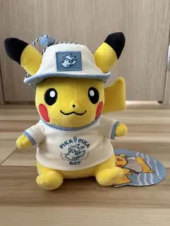 2026年最新】Pokemon 種類：ゲーム ぬいぐるみ その他の人気アイテム