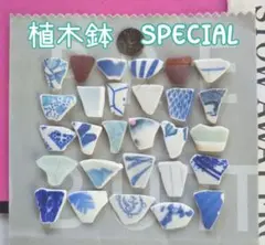 シー陶器＆シーグラスSET ～形SPECIAL♡R7④