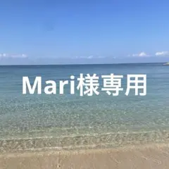 Mari様 リクエスト 2点 まとめ商品