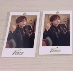 うらたぬき ミニフォトカード VOICE コンプセット うらたぬき🍀浦島坂田船／浦田わたる on X: 