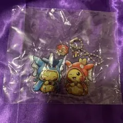 ヒロシマ アクリルキーホルダーコレクション アクキー ポンチョ 赤いギャラドス