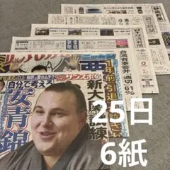 吉沢亮　WEST.神山智洋　安田章大　東方神起　乃木坂46 安青錦　藤井聡太