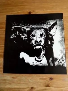 THE EXECUTE SAVEYOURMONEY LP GRAVE3302のサムネイル