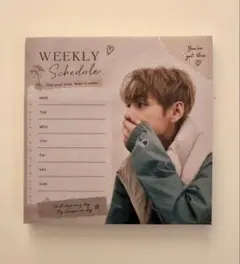 BTS テテ 付箋 WeeklySchedule