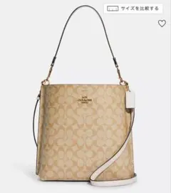 COACH モリー バケット バッグ シグネチャー キャンバス